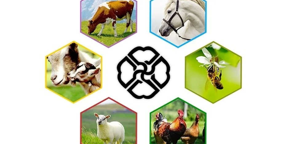 آموزش های علوم دامی